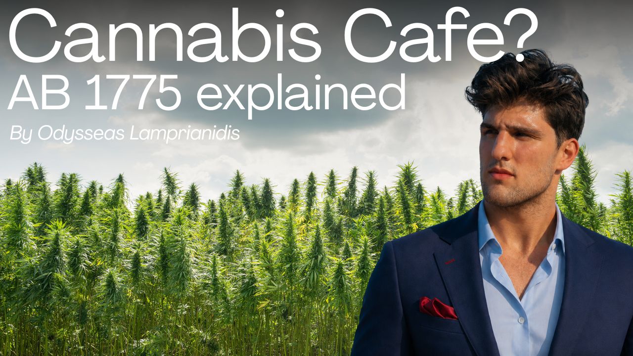 Header image for the article: Cannabis Cafe Real Estate Investment: How AB 1775 Is Creating LA's Next Big Asset Class